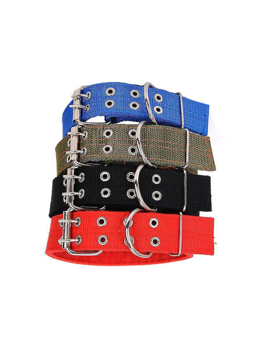 Vltools Hundehalsband in Grün Farbe