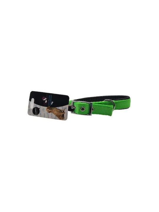 Pet Camelot 4561 Hundehalsband in Gray Farbe 25mm x 50cm