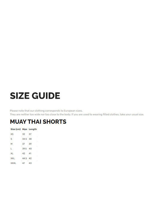 Wicked1 Shorts Kick/Thai-Boxen Blau