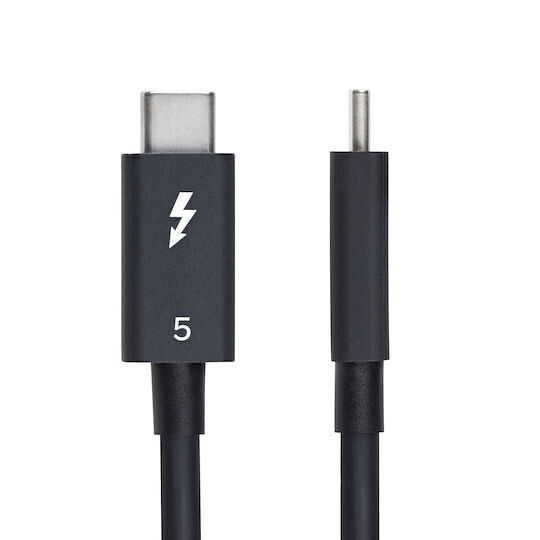 Lindy Thunderbolt Cable 240W Μαύρο 1m (31130)