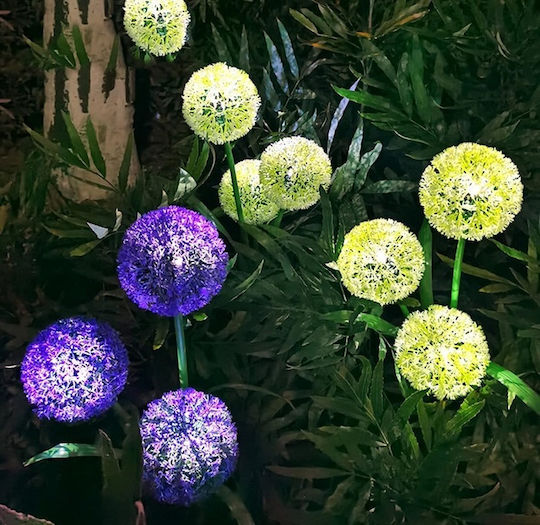 Set 2 Eingesteckte Solarleuchten Blumen