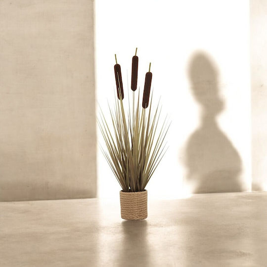 Künstliche Rohrkolbengraspflanze Beige Plastik Brauner Topf 55cm