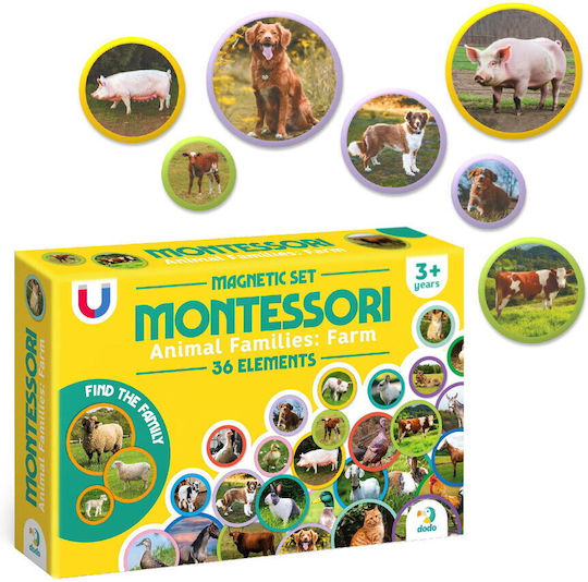 Dodo Montessori Joc Educațional de Cunoștințe pentru 3+ ani Ani