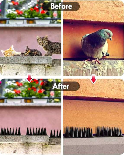 Repellent Spikes Birds / Cats 0.45x0.045m