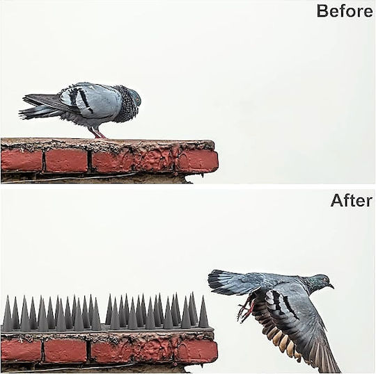 Repellent Spikes Birds / Cats 0.45x0.045m