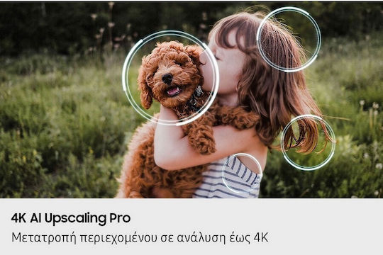 Samsung Smart Τηλεόραση 100" 4K UHD Neo QLED QN80F HDR (2025) QE100QN80FUXXH