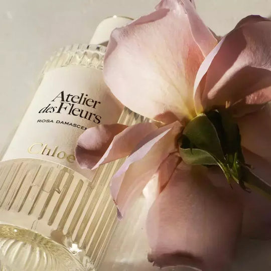Chloe Eau de Parfum 150ml