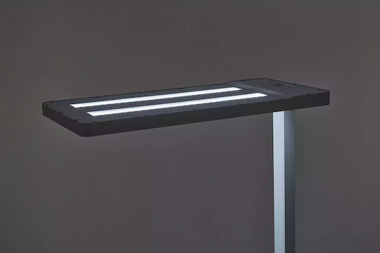 LED Floor Lamp Black