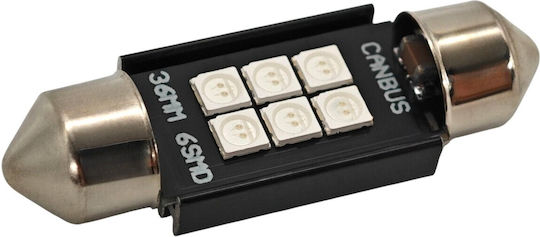 C5w LED Autolampe Sv8.5 12-24V Canbus 36mm Grüne