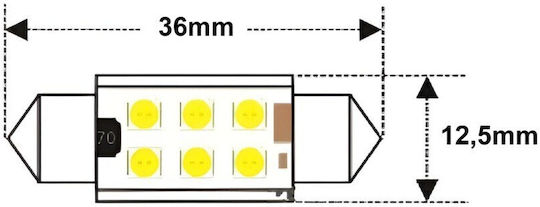 C5w Led Bulb Sv8.5 12-24v Canbus 36mm Pink