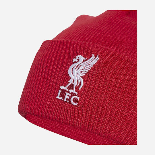 Beanie Ανδρικός Σκούφος Πλεκτός σε Κόκκινο χρώμα