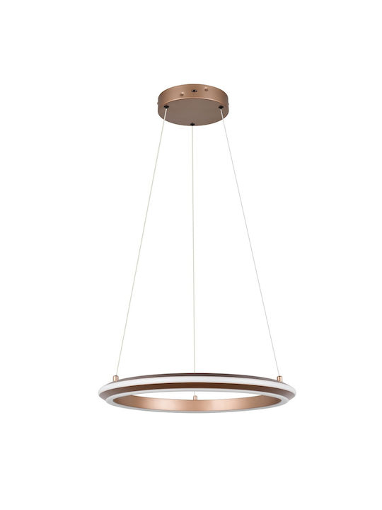 Trio Lighting Amador Κρεμαστό Φωτιστικό Καφέ