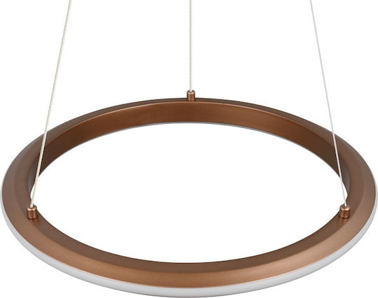 Trio Lighting Amador Pendant Light Brown