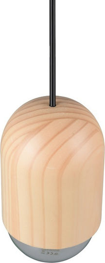 Trio Lighting Pendant Light