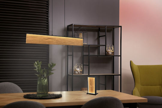 Trio Lighting Kalea Pendant Light