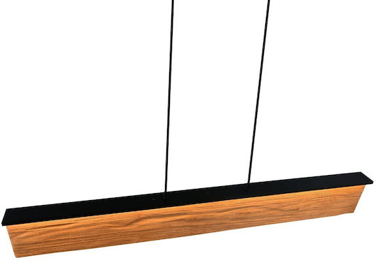 Trio Lighting Kalea Pendant Light