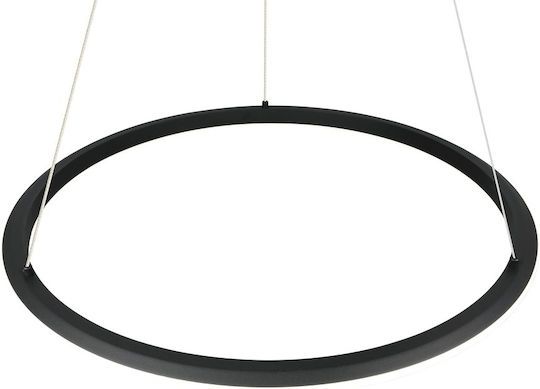 Trio Lighting Amador Pendant Light Black