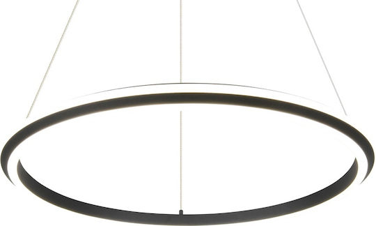 Trio Lighting Amador Pendant Light Black