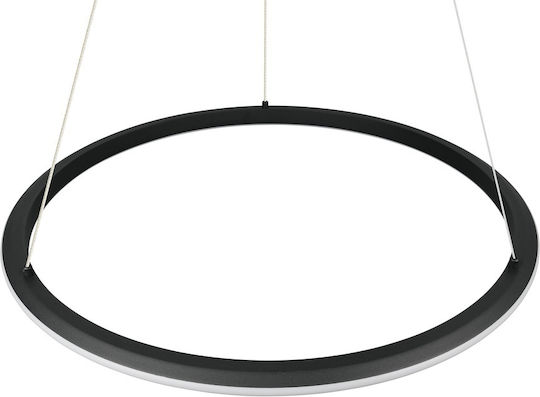 Trio Lighting Amador Pendant Light Black