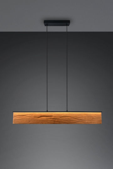 Trio Lighting Kalea Pendant Light