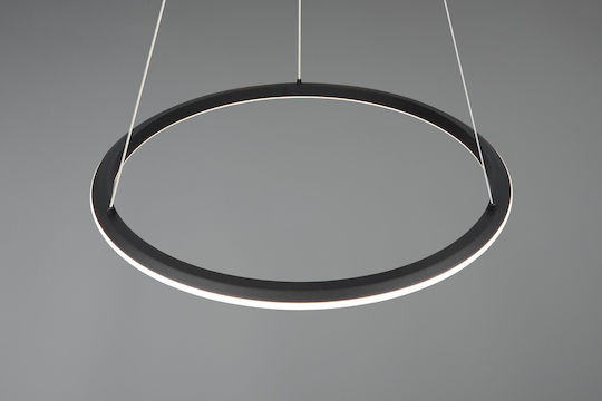 Trio Lighting Amador Pendant Light Black
