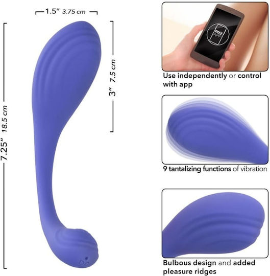 California Exotics Connect Kegel Exerciser Μωβ