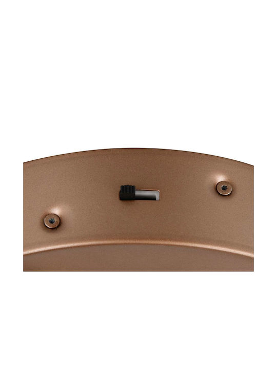Trio Lighting Amador Таванно осветление Кафяв