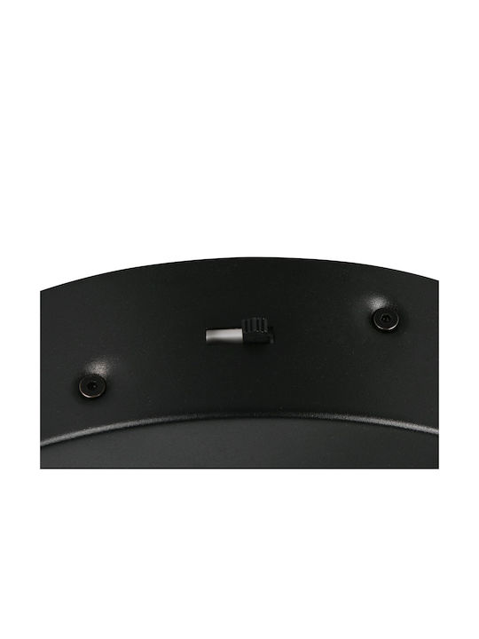Trio Lighting Amador Ceiling Mount Light Black
