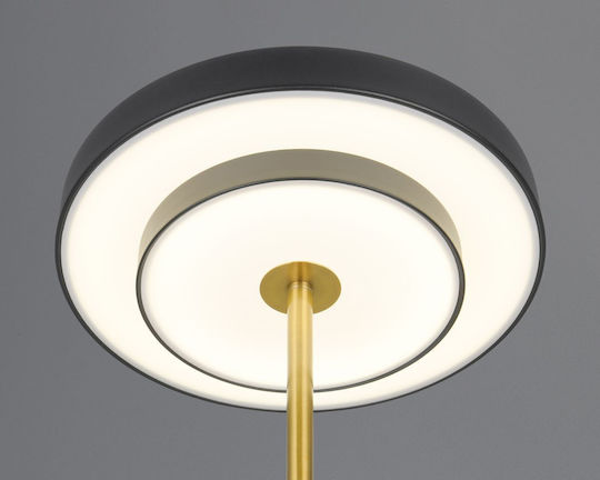 Trio Lighting Keaton Dekorative Lampe Schwarz