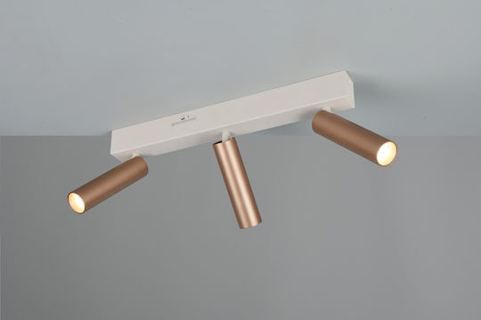 Trio Lighting Ambala Spot in Brown Color
