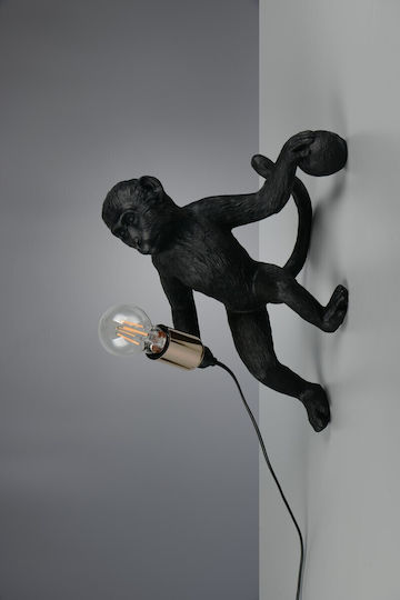 Trio Lighting Modern Black Wall Light 20cm