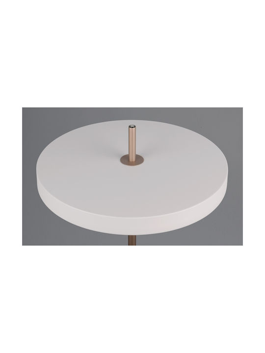 Trio Lighting Keaton LED Stehleuchte Gray