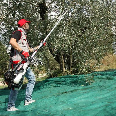 Cifarelli SC800 Olive Vibrator 2.8hp 3.3m 02SC800