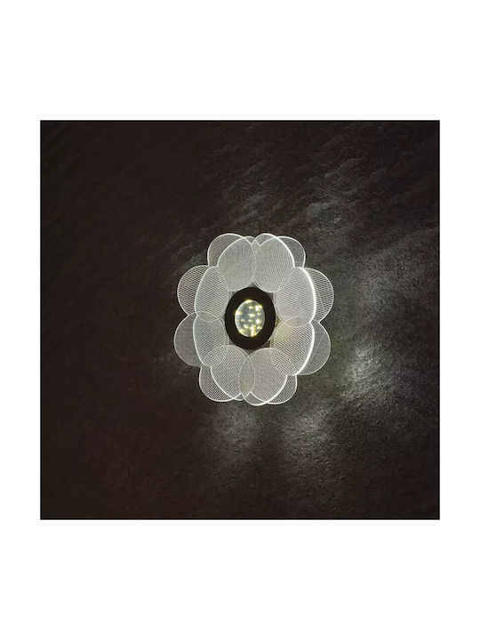 Wall Lamp Walnut Black Elbulgaria Led 10w 3000-6000k 4269 Bk