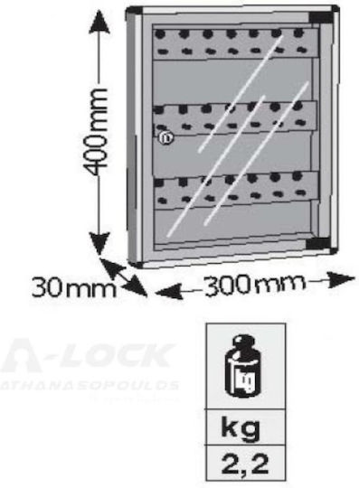 Viometal LTD Wall Key Hook Metallic 1524 24 Hooks Brown 24 Hooks With Lock 30x3x40cm