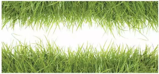 Декоративно Стикер Стена Цветя Grass Giant 2бр RoomMates Decor