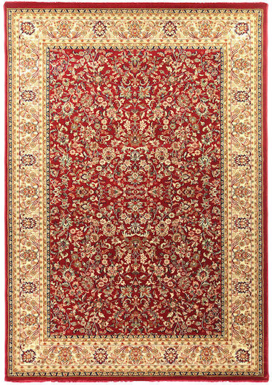 Royal Carpet 11OLY8595