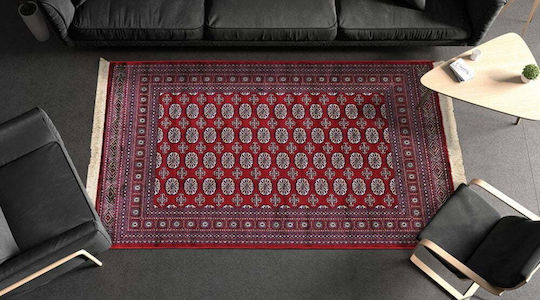 Newplan 248/301220 Rug Rectangular Summer with Fringes Bordeaux 5-05-SON-248_301220-100X140