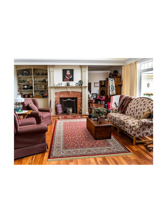 Newplan 240/301220 Rug Rectangular with Fringes Sonia