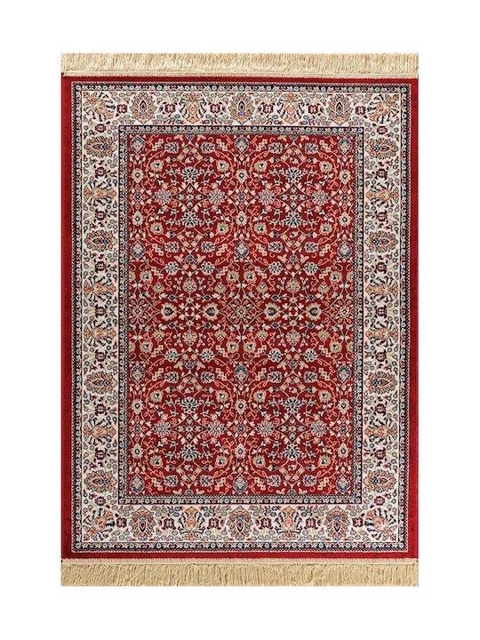 Newplan 240/301220 Rug Rectangular with Fringes Sonia