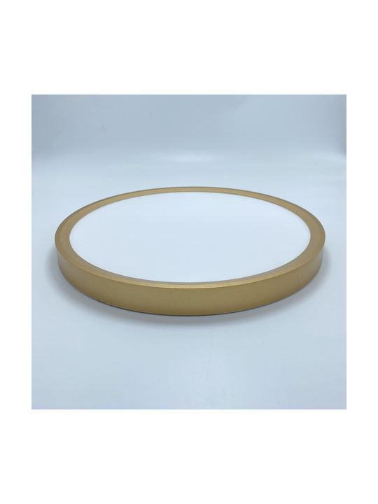 Redled Deckenleuchte Gold