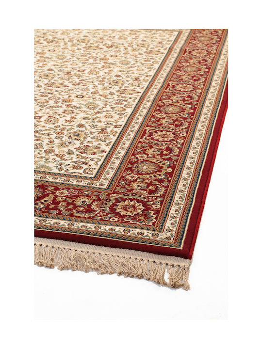 Royal Carpet Sherazad 6464 8712b