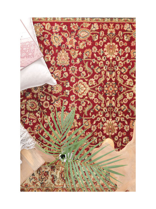 Royal Carpet 4262C Teppich Rechteckig Synthetisch,Polyester/Cotton/Leather Red