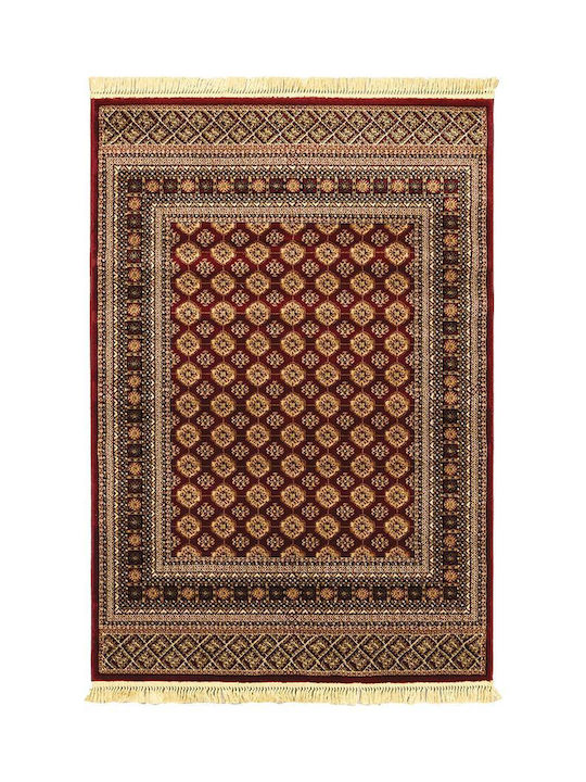 Newplan Persia 7838