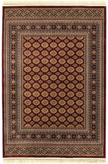 Newplan Persia 7838 Newplan Persia 7838