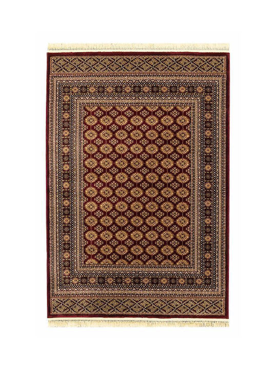 Newplan Persia 7838