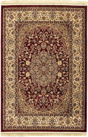 Newplan Persia 5649