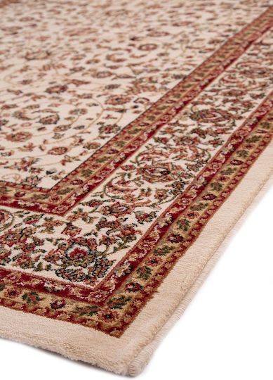 Royal Carpet Teheran 3647 Χαλί Ορθογώνιο Cream 200x300cm