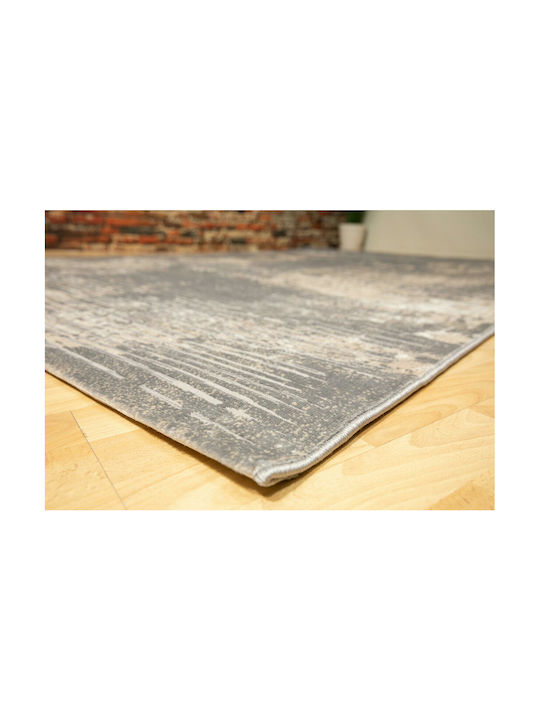 Ezzo 8131ACD Rug Rectangular Grey