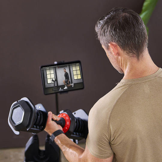 Hammer Dumbbell 1x 25kg with Stand